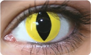 Funky Lens Cat Eye