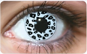 Funky Lens Leopard White