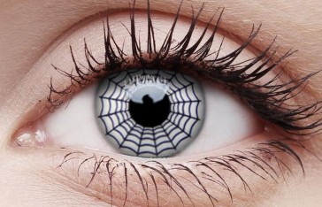 Funky Lens Spider